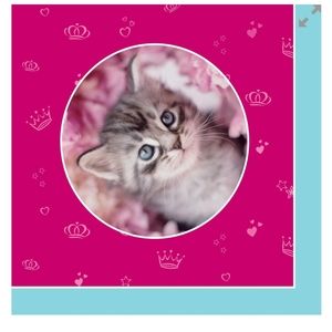 Glamour Cats Lunch Napkins by Rachael Hale